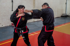 SUOB ION BI RYU