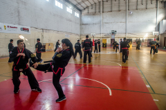 SUOB ION BI RYU