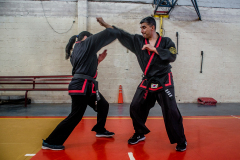 SUOB ION BI RYU