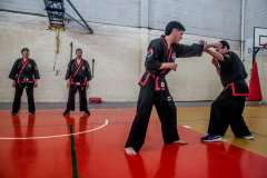 SUOB ION BI RYU