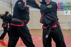SUOB ION BI RYU
