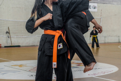 SUOB ION BI RYU
