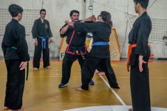 SUOB ION BI RYU