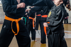 SUOB ION BI RYU