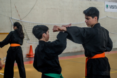 SUOB ION BI RYU