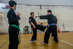 SUOB ION BI RYU