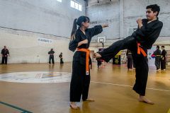 SUOB ION BI RYU