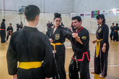 SUOB ION BI RYU