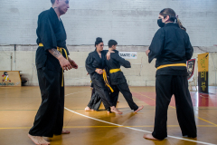 SUOB ION BI RYU