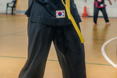 SUOB ION BI RYU