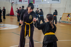 SUOB ION BI RYU