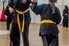 SUOB ION BI RYU