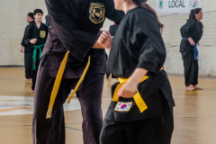 SUOB ION BI RYU