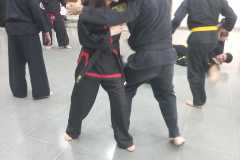 SUOB GENERAL Y SENG IL