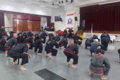 SUOB GENERAL Y SENG IL 