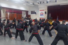SUOB GENERAL Y SENG IL 