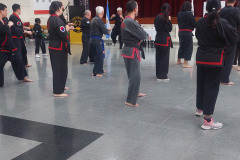 SUOB GENERAL Y SENG IL 