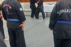 SUOB GENERAL Y SENG IL 