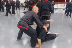 SUOB GENERAL Y SENG IL 