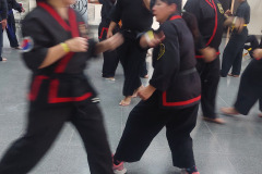 SUOB GENERAL Y SENG IL 