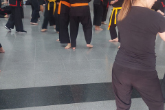 SUOB GENERAL Y SENG IL 
