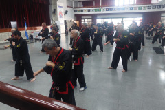 SUOB GENERAL Y SENG IL 