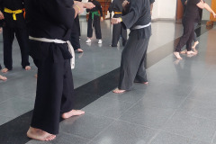 SUOB GENERAL Y SENG IL 