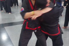 SUOB GENERAL Y SENG IL 