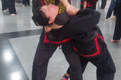 SUOB GENERAL Y SENG IL 