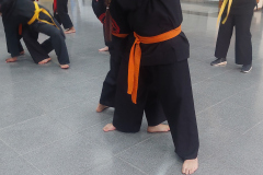 SUOB GENERAL Y SENG IL 