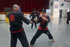 SUOB GENERAL Y SENG IL 