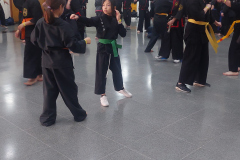 SUOB GENERAL Y SENG IL 