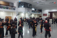 SUOB GENERAL Y SENG IL 
