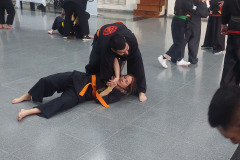 SUOB GENERAL Y SENG IL 