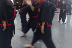 SUOB GENERAL Y SENG IL 
