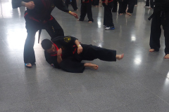 SUOB GENERAL Y SENG IL 