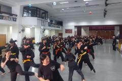 SUOB GENERAL Y SENG IL 