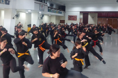 SUOB GENERAL Y SENG IL 