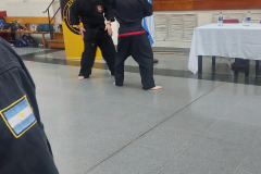 SUOB GENERAL Y SENG IL 