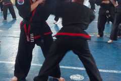 HWANGAP-DAE-WON-YOO-198