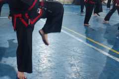 HWANGAP-DAE-WON-YOO-223