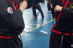 HWANGAP-DAE-WON-YOO-256