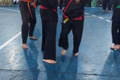 HWANGAP-DAE-WON-YOO-270