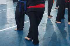 HWANGAP-DAE-WON-YOO-274