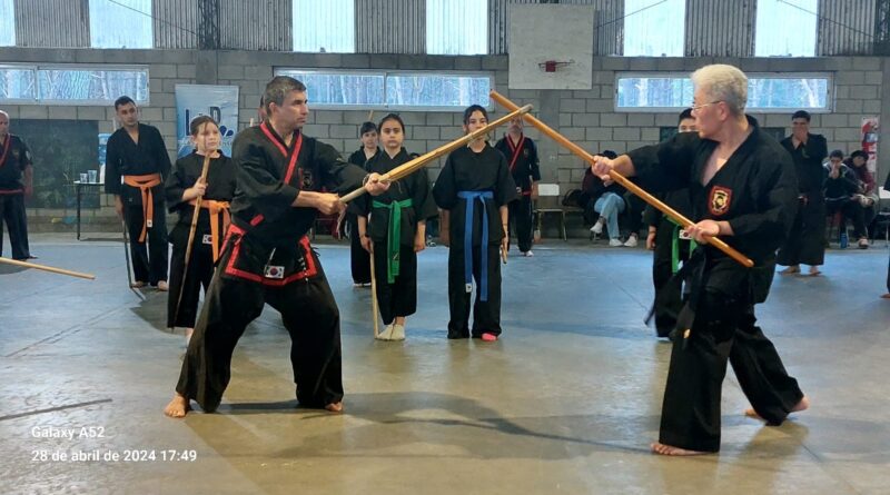 SIPALKIDOOFICIAL #OFICIAL #YOAN #SIPALKIDO #IONBIRYU #SIPALKIDOMUNDIAL #ORGANIZACIÓNINTERNACIONALSIPALKIDO #FEDERACIONMUNDIALSIPALKIDO #GOLONDRINA #18