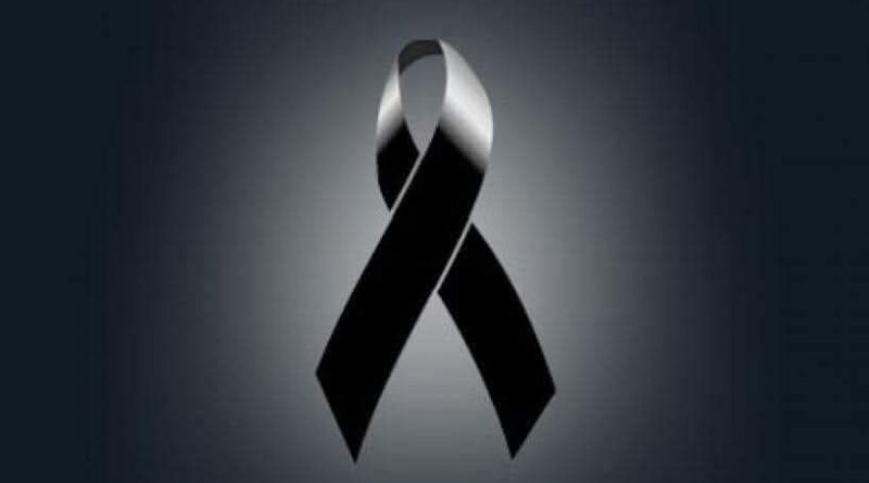 499538917 2124404378072333 7532608776436191611 n